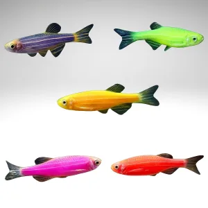Danio Fish