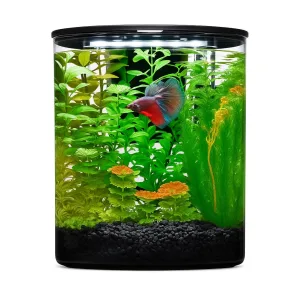 Cylinder Aquarium – 6L Capacity, Perfect for Mini Aquascapes