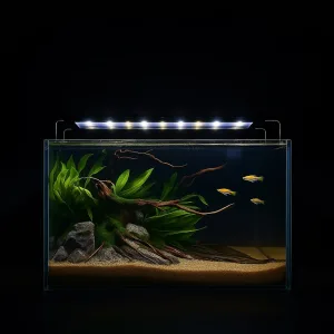 12L Aquascape Planted Aquarium