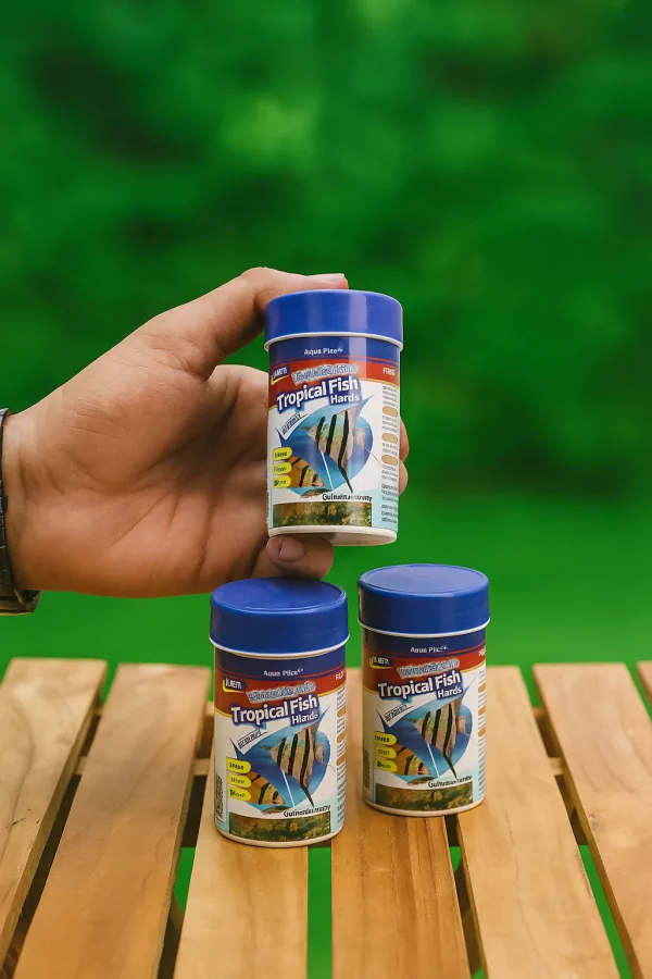 fish feed
