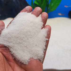 aquarium white sand in hand