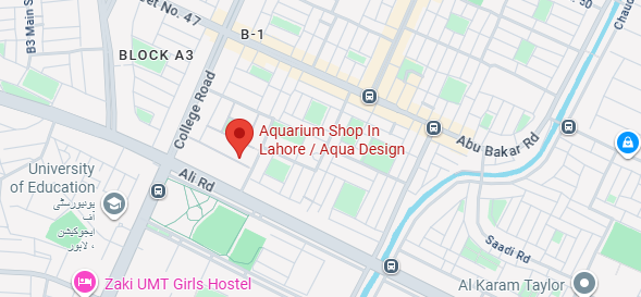 aqua design map