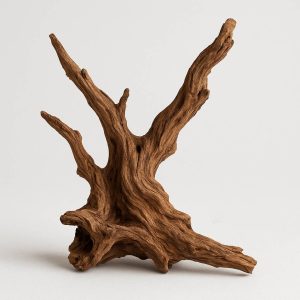 aquarium driftwood