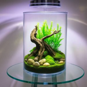 9.5L Empty Acrylic Fish Tank Cylinder